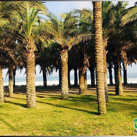 Palmeras Del Golf - Torrequebrada Benalmádena Zimmer foto