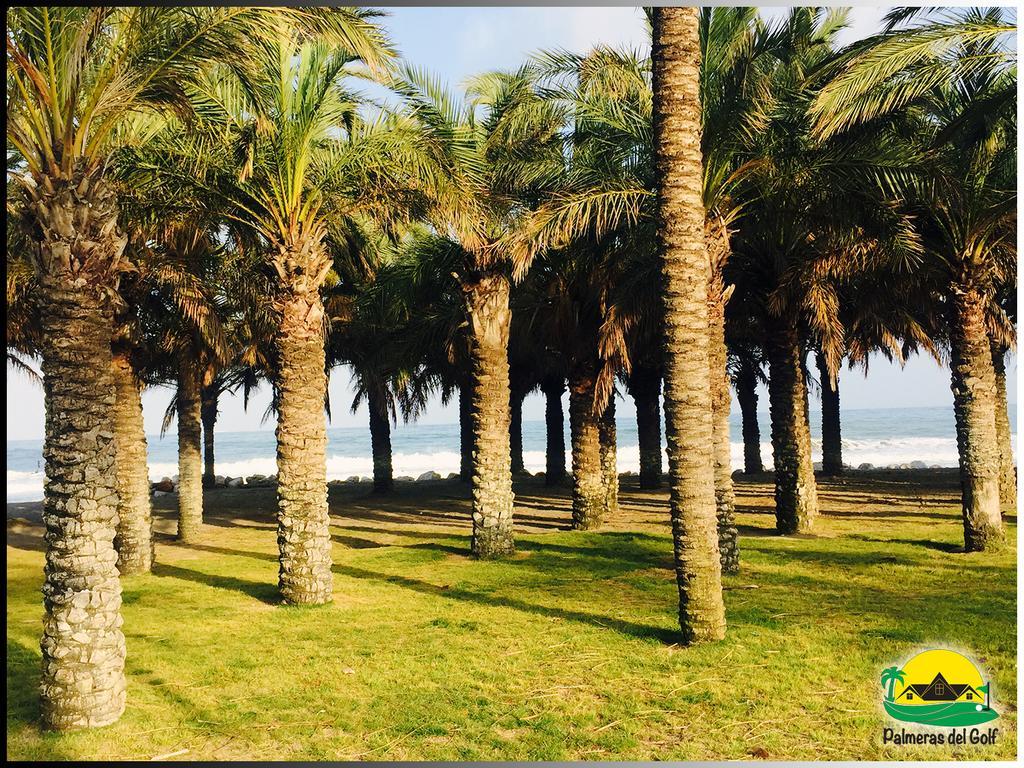Palmeras Del Golf - Torrequebrada Benalmádena Zimmer foto